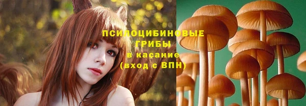 винт Михайлов