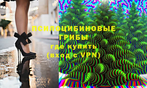 мяу мяу мука Михайловск