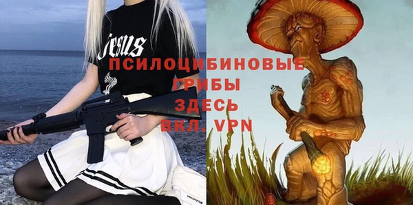 мяу мяу мука Михайловск