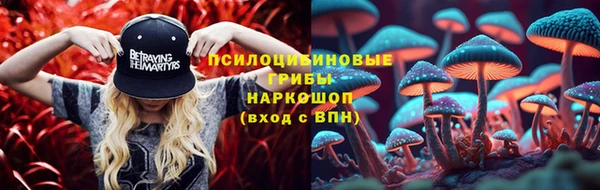 мяу мяу мука Михайловск