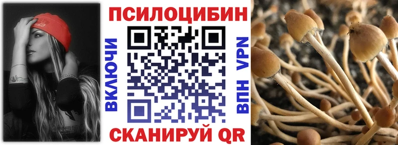 Купить где  Орск  Галлюциногенные грибы Psilocybine cubensis 